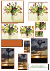 Windmills and Tulips