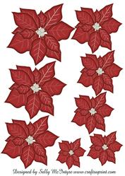 Poinsettia Graduated in Size for All Your Christmas Cards
