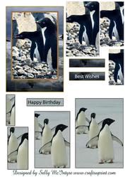 Penguins in the Antarctic
