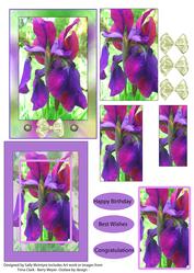 Purple Irises 2 Card Sheet