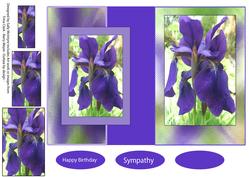 Iris Fold Back Birthday Sympathy