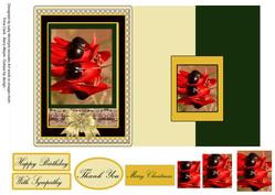 Australian Sturt Desert Pea Multiple Greetings or Add Your O