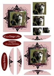 Its a Dogs Life Doggone Its Your Birthday Happy Birthday