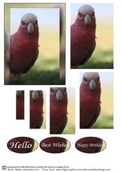 Galah Pyramid Hello Best Wishes Happy Birthday