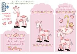 For the New Grandmother of a Baby Grandaughter Card or Bookm