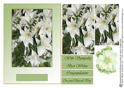 White Lilies on Your Special Day Sympathy Best Wishes Cong