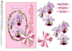 Ladies Card Happy Birthday with Sympathy Best Wishes