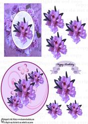 Orchids 3D 2 C6 Cards