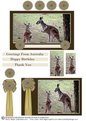 The Australian Kangaroo Happy Birthday Thank You Greetings F