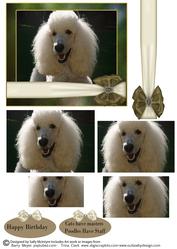 Cats Have Master Poodles Have Staff Happy Birthday