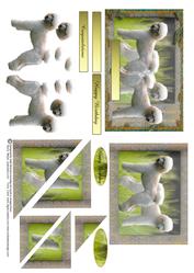 All About Poodles 2 Card Sheet