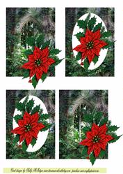 Old Window and Christmas Flower