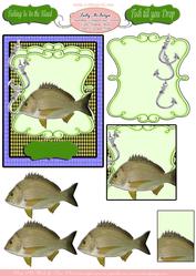 Fishing is in Your Blood You Choose the Type of Cards You Ma