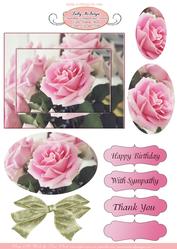 All Round Ladies Card for All Occasions