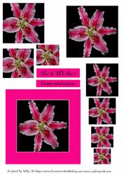 Lily in Pink and Black 2 Card Sheet