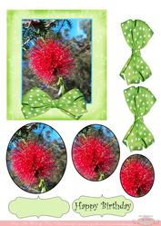 Wildflower Passion Happy Birthday