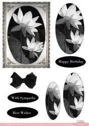 Black and White Revival Birthday Sympathy