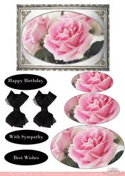 Soft and Preety Pink Roses with Silver and Black