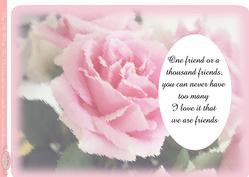 Friendship Insert with Verse Trim to Size Required