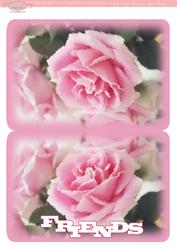 Print and Fold Card Friends