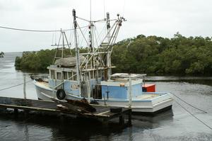 Boats in the Harbour