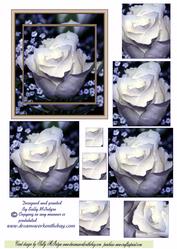 Blue Rose Harmony
