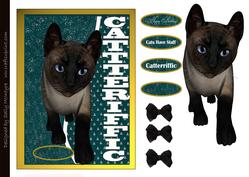 Catteriffic