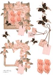 Apricot Roses and Butterflies for Many Occasions