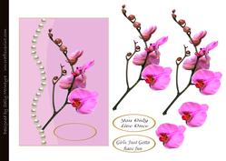 Singapore Orchids and Pearls Girls Just Wanna Have Fun