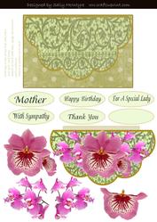 Shell Half Circle Orchids and Lace One for the Ladies