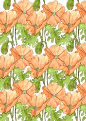 Poppies Galore Background