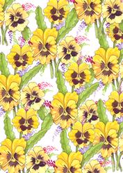 In the Pansy Patch