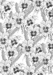 In the Pansy Patch Black and White