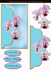 With Sympathy for a Special Lady Best Wishes