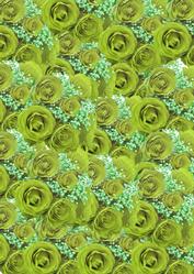 Lime Green Roses and White Babys Breath Background