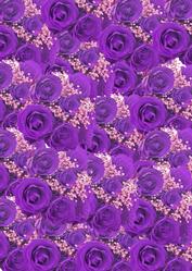Purple Roses and White Babys Breath Background