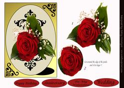 Red Red Rose Multi Sentiment