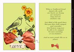 Death of Bird Poem for a Friend