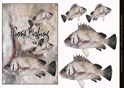 Gone Fishing 3D Card Front