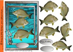 Fish of the Sea