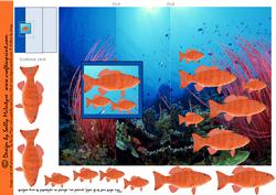 Foldback Card Coral Trout