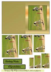 Cricket Lovers
