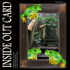 Inside Out Card Tropical Frogs