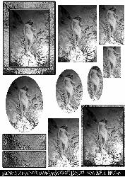 Fairy Time Black -white2 Card Sheet