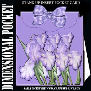 Dimensional Stand Up Insert Pocket Card
