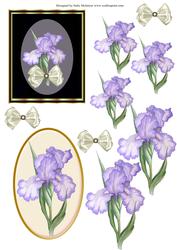 Irises for a Lady