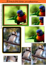 Bird Songs 2 Card Sheet Pyramids