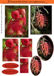 Wild Flower Magic Pyramids