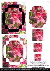 Fuschia Combination Cards