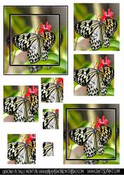 Butterfly Harvest Pyramid